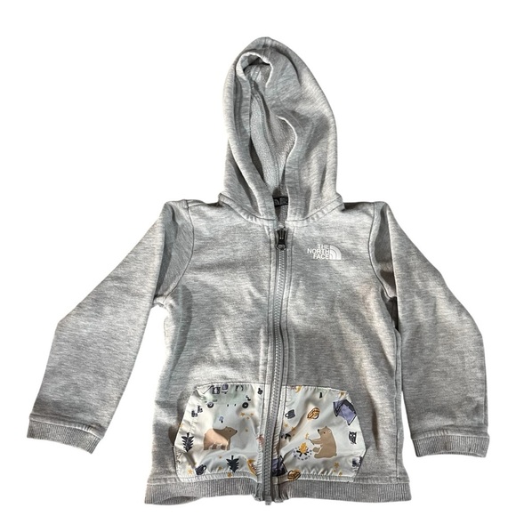 The North Face Other - The North Face Kids Light Gray Hoodie Unisex 12-18 months